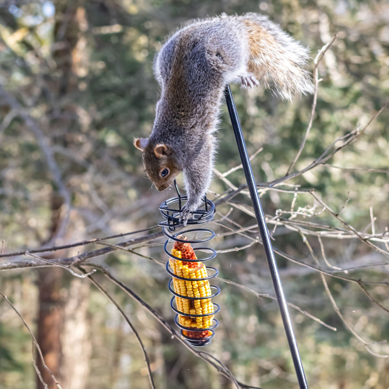 Load image into Gallery viewer, Metal Critter Corn Feeder