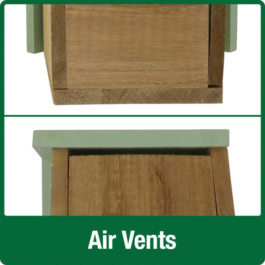 Decorative Bluebird House - Verdant Petals