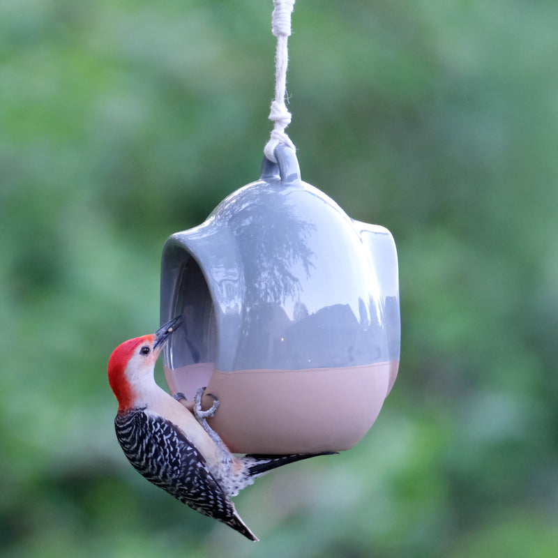 Load image into Gallery viewer, Planter & Perch Ceramic Fly Through Feeder and Planter