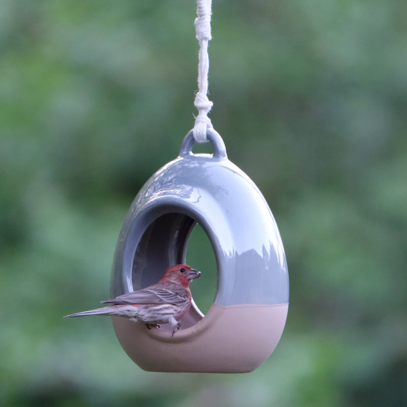 Load image into Gallery viewer, Planter & Perch Ceramic Fly Through Feeder and Planter