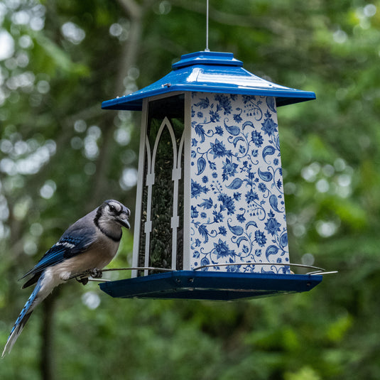Paisley Arches Gazebo Bird Feeder