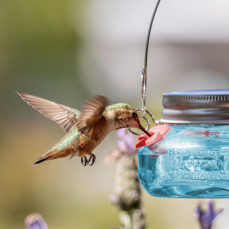 Load image into Gallery viewer, Antique Teal Mason Jar Glass Top-Fill Dish Hummingbird Feeder