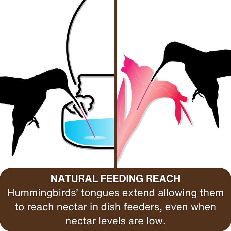 Load image into Gallery viewer, Antique Teal Mason Jar Glass Top-Fill Dish Hummingbird Feeder