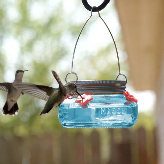 Mason Jar Hummingbird Feeder - Antique Teal