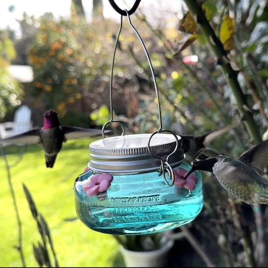 Mason Jar Hummingbird Feeder - Antique Teal