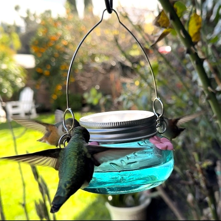 Load image into Gallery viewer, Mason Jar Hummingbird Feeder - Antique Teal (Model# WWMJF4-TEAL)
