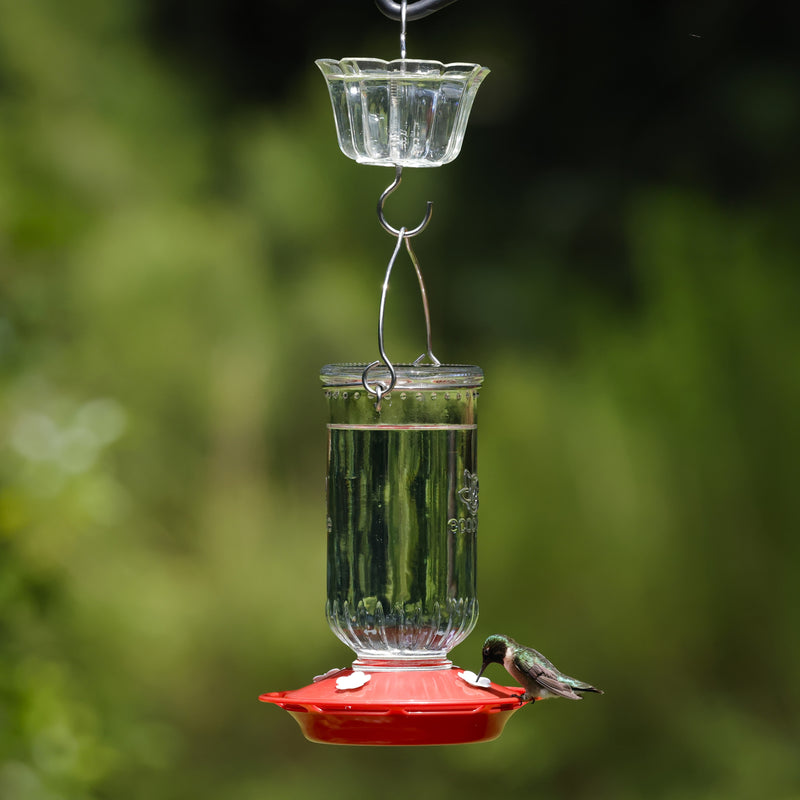 Load image into Gallery viewer, Clear Hummingbird Feeder Ant Moat