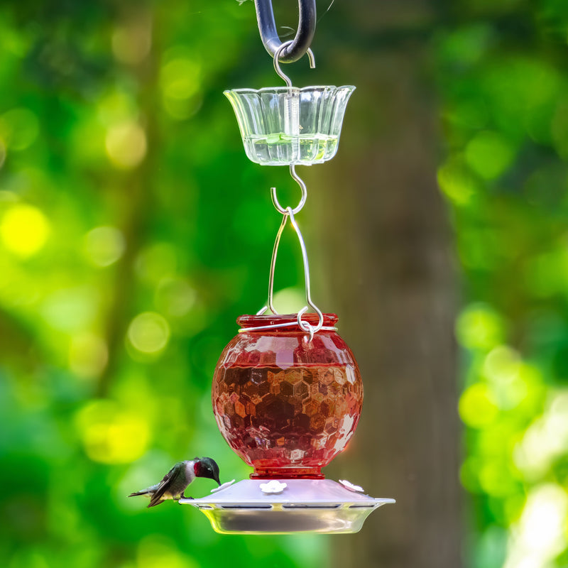 Load image into Gallery viewer, Clear Hummingbird Feeder Ant Moat