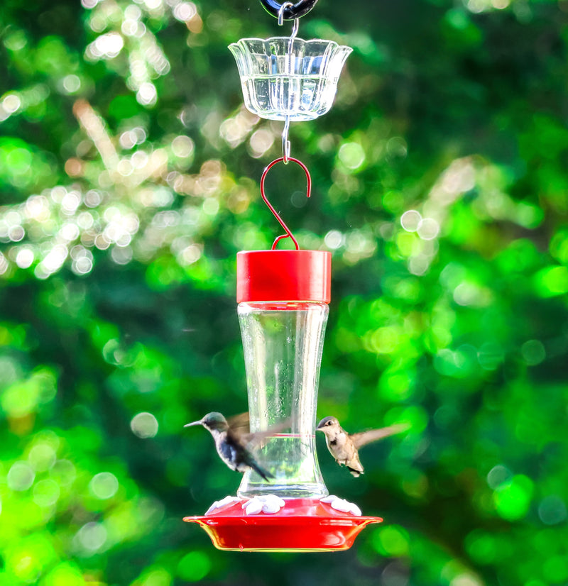 Load image into Gallery viewer, Clear Hummingbird Feeder Ant Moat