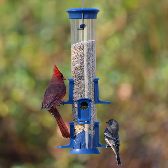 Plastic Tube Bird Feeder - Blue