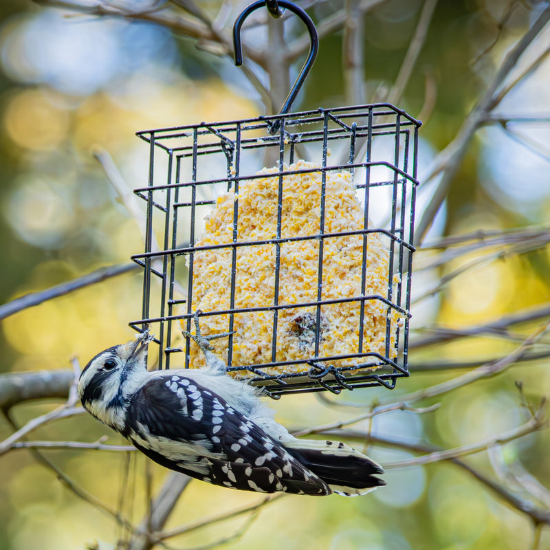 Load image into Gallery viewer, Metal Single Cake Suet Cage Bird Feeder - Single Cake