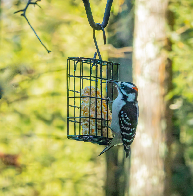 Load image into Gallery viewer, Metal Single Cake Suet Cage Bird Feeder - Single Cake