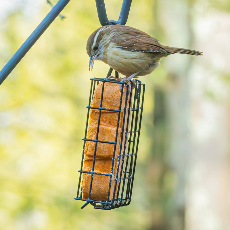 Load image into Gallery viewer, Metal Single Cake Suet Cage Bird Feeder - Single Cake