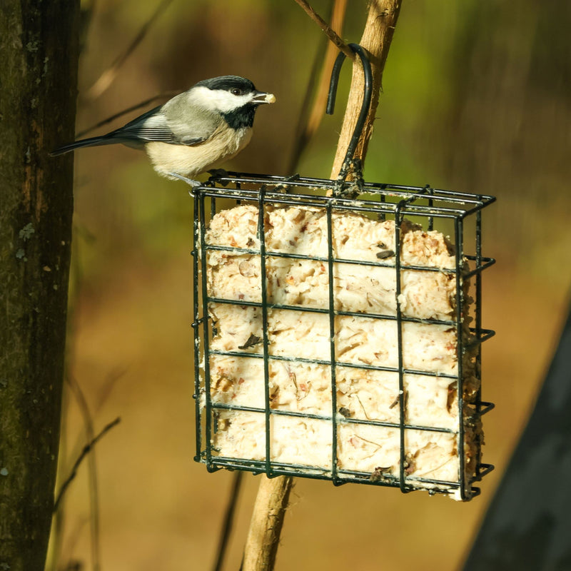 Load image into Gallery viewer, Basic Suet Cage Bird Feeder - Single Cake