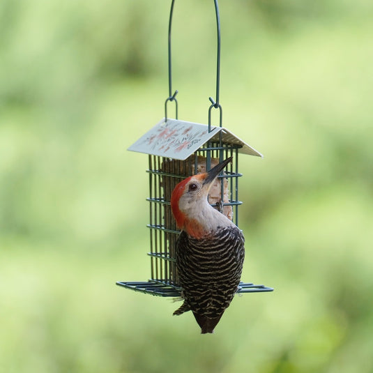 Decorative Suet Cage Bird Feeder - Single Cake