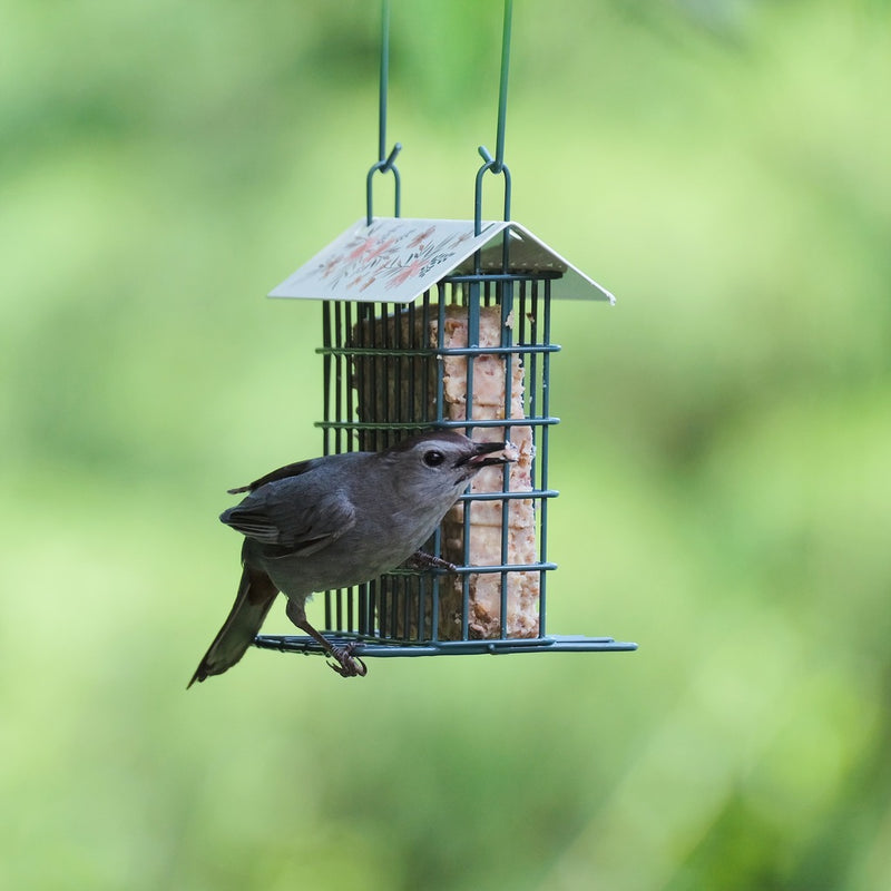 Load image into Gallery viewer, Decorative Metal Single Cake Suet Cage Bird Feeder - Single Cake