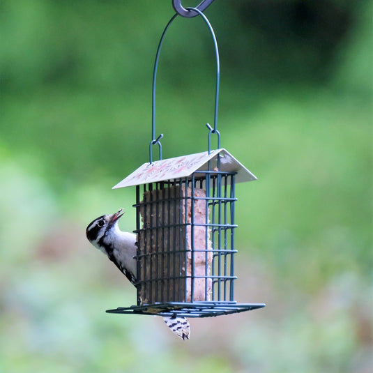 Decorative Suet Cage Bird Feeder - Single Cake