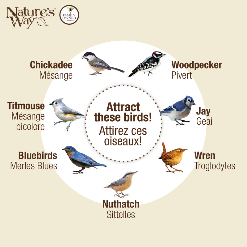 Load image into Gallery viewer, Decorative Metal Single Cake Suet Cage Bird Feeder - Single Cake