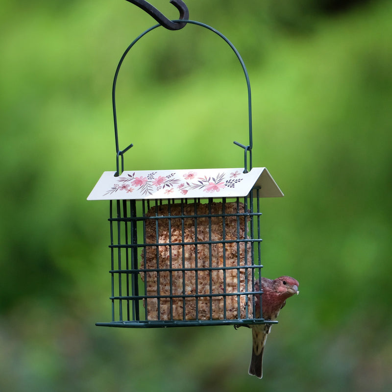 Load image into Gallery viewer, Decorative Metal Single Cake Suet Cage Bird Feeder - Single Cake
