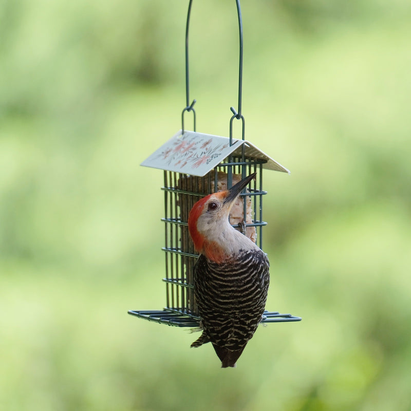 Load image into Gallery viewer, Decorative Metal Single Cake Suet Cage Bird Feeder - Single Cake