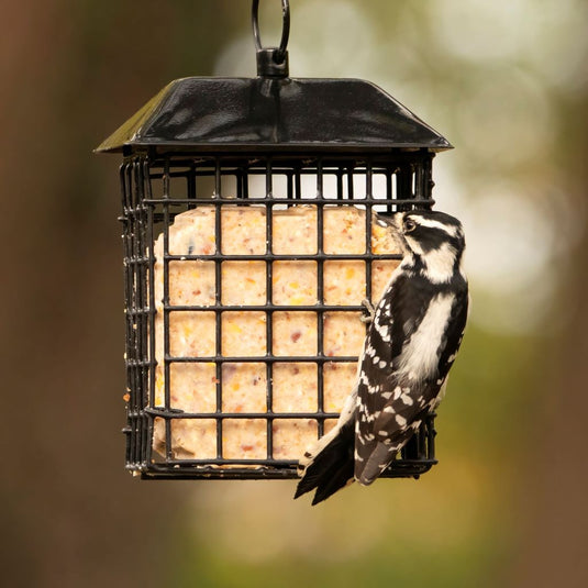 Suet Cage Bird Feeder w/ Roof - Two Cake