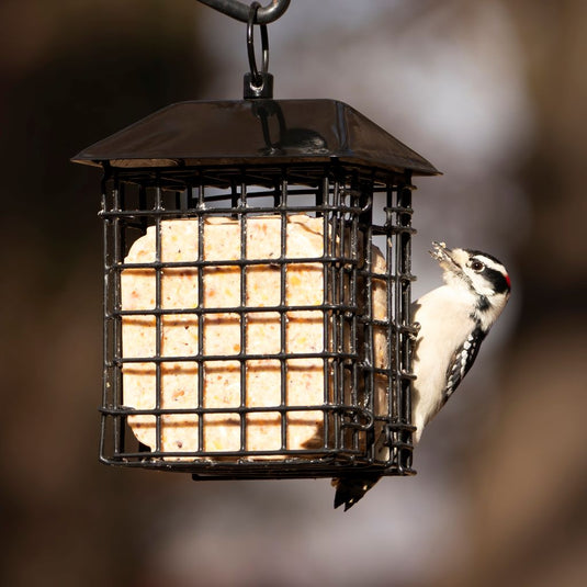 Suet Cage Bird Feeder w/ Roof - Two Cake
