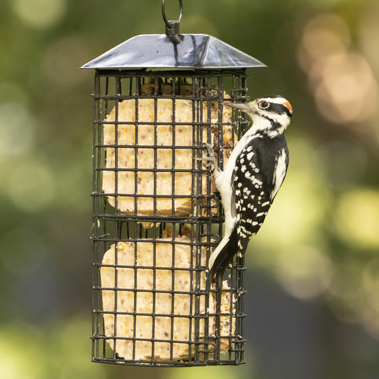 Suet Cage Bird Feeder w/ Roof - Four Cake (Model