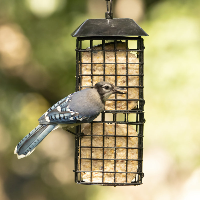 Load image into Gallery viewer, Suet Cage Bird Feeder w/ Roof - Four Cake (Model# WWSUET-4)
