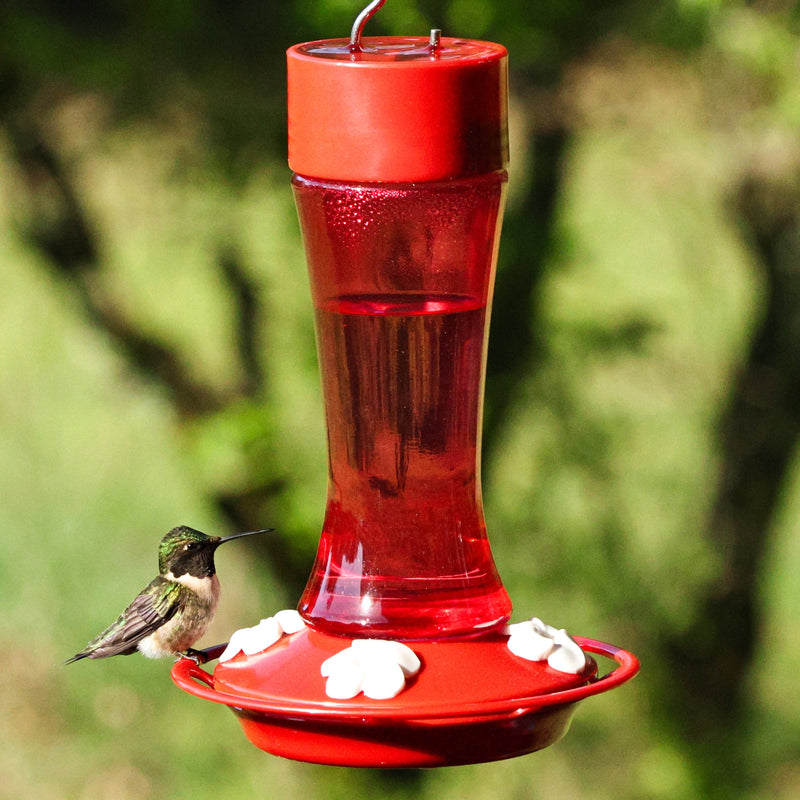 Load image into Gallery viewer, Crimson Silhouette Glass Gravity Hummingbird Feeder