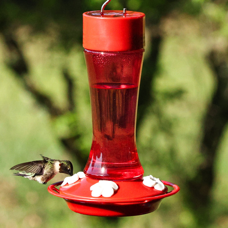 Load image into Gallery viewer, Crimson Silhouette Glass Gravity Hummingbird Feeder
