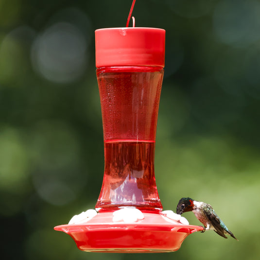 Crimson Silhouette Glass Gravity Hummingbird Feeder