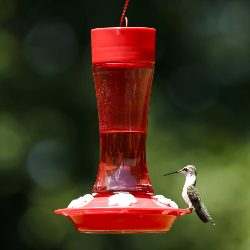 Load image into Gallery viewer, Crimson Silhouette Glass Gravity Hummingbird Feeder