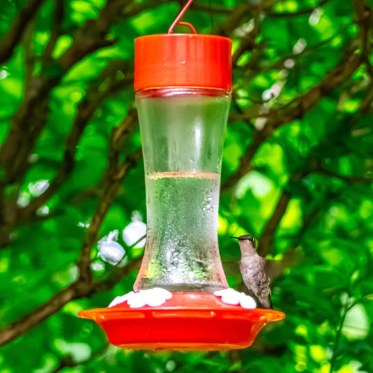 Scarlet Silhouette Glass Gravity Hummingbird Feeder