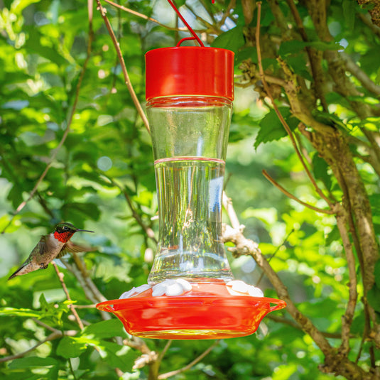 Scarlet Silhouette Glass Gravity Hummingbird Feeder
