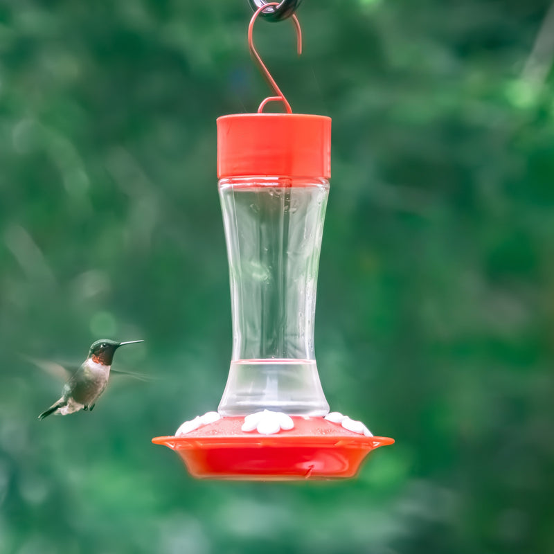 Load image into Gallery viewer, Scarlet Silhouette Glass Gravity Hummingbird Feeder