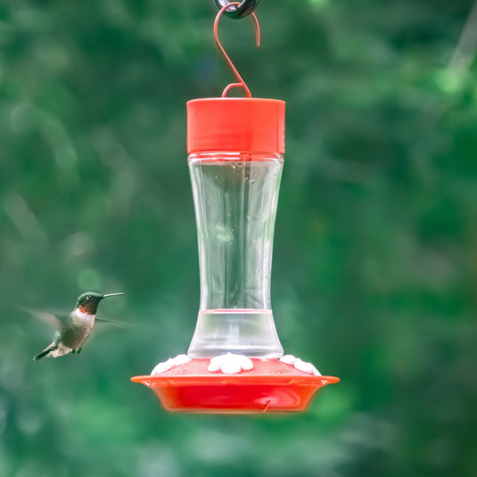 Scarlet Silhouette Glass Gravity Hummingbird Feeder