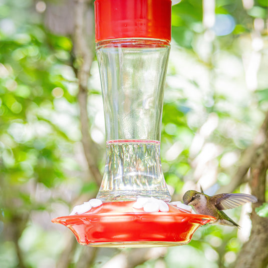 Scarlet Silhouette Glass Gravity Hummingbird Feeder
