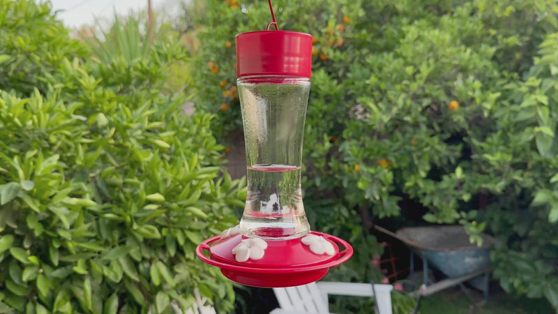 Load and play video in Gallery viewer, WWTGF6 Scarlet Silhouette Gravity Hummingbird Feeder