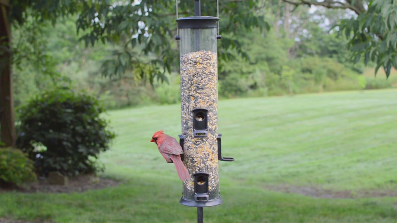 Load and play video in Gallery viewer, Large Plastic Tube Bird Feeder | Tube Bird Feeders | Nature's Way Bird Products