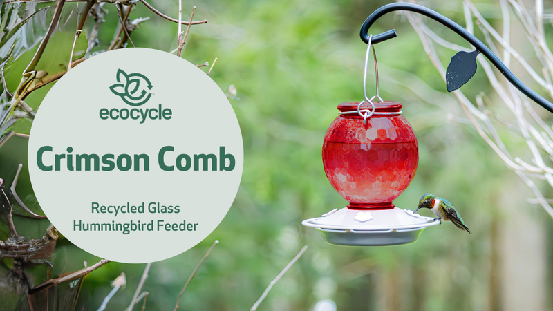 Load and play video in Gallery viewer, Crimson Comb Recycled Glass Hummingbird Feeder | EcoCycle™ Recycled Materials Collection