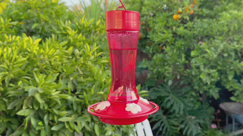 Load and play video in Gallery viewer, WWTGF6-R Crimson Silhouette Gravity Hummingbird Feeder