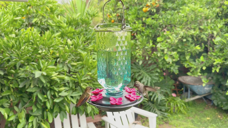 Load and play video in Gallery viewer, WWANTGHF8-O Seafoam Ombre Antique Glass Gravity Hummingbird Feeder