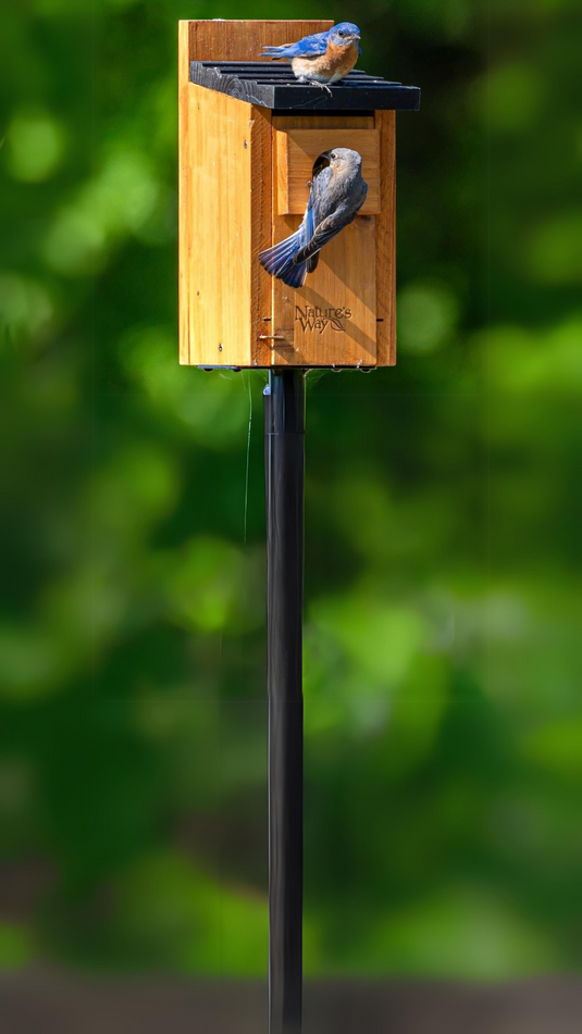 Conservation, Innovation + Community