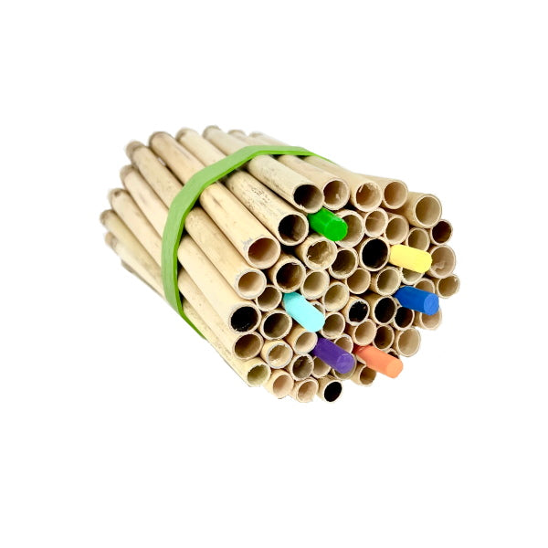 Load image into Gallery viewer, Spring Natural Reeds for Mason Bees - 8mm
