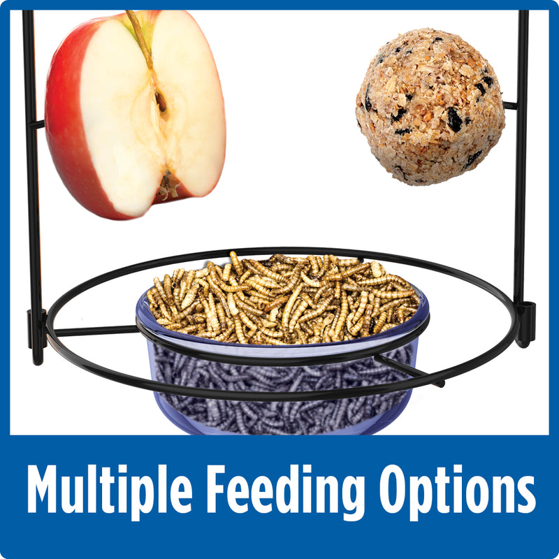 Load image into Gallery viewer, Demonstration of multiple feeding options with Nature's Way Bluebird Buffet Bird Feeder. Mealworms in blue feeding dish and suet ball and apple on two feeding spikes