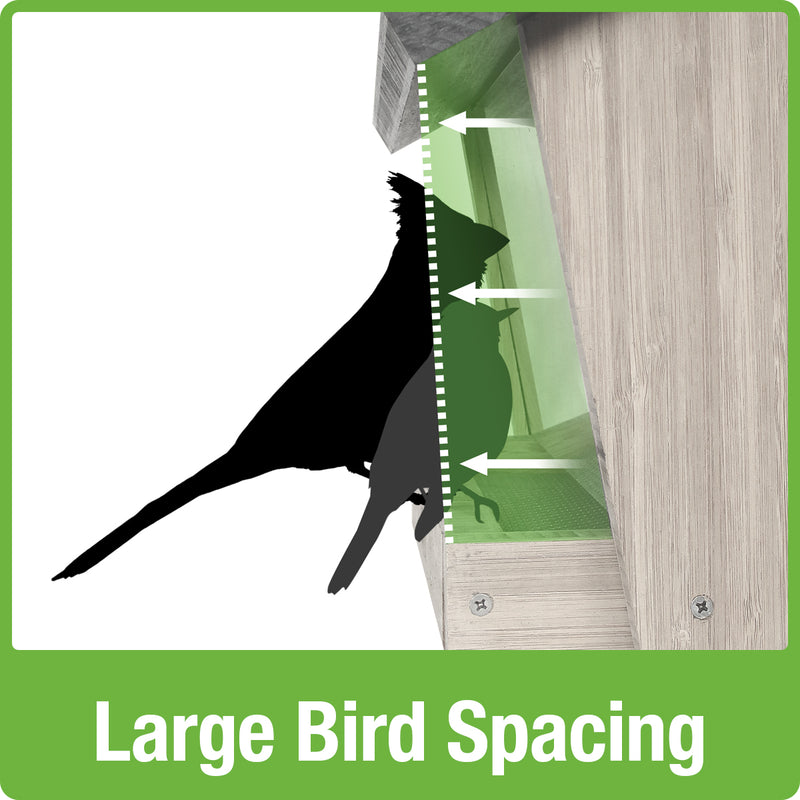 Load image into Gallery viewer, Large bird spacing for Nature&#39;s Way 6 QT bamboo Hopper bird Feeder with two Suet cages
