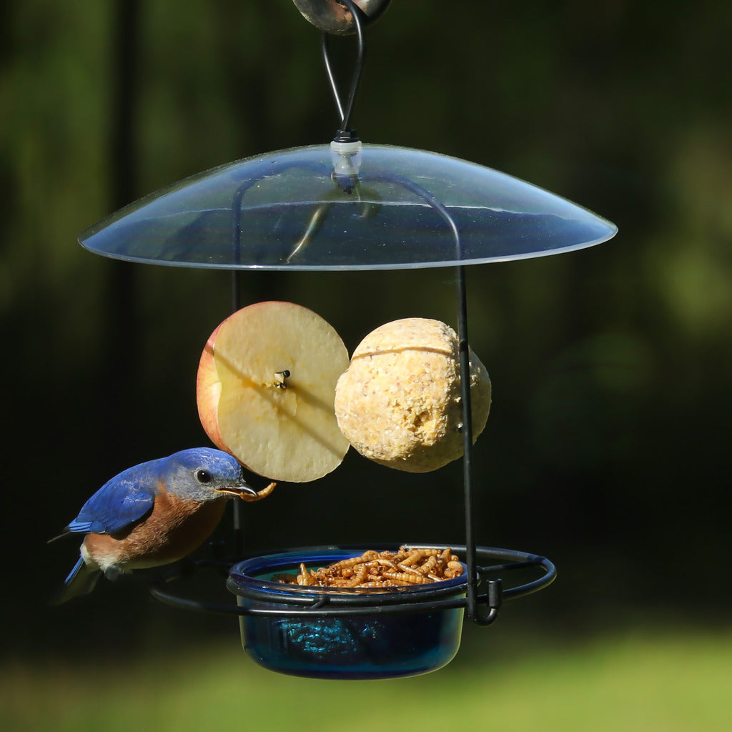 Eastern offers bird supplies