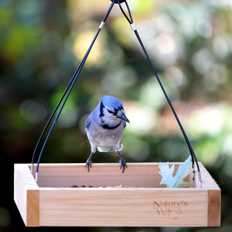 Load image into Gallery viewer, Hanging Platform Feeder