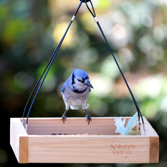 Hanging Platform Feeder