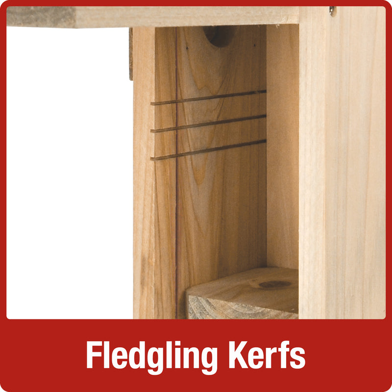 Load image into Gallery viewer, three fledgling skerfs on the Nature's Way Bluebird Box House with Viewing Window